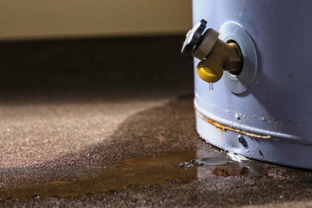 Best Emergency water extraction  in Navassa, NC
