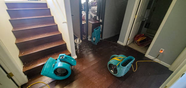 Water damage restoration mold remediation in NC