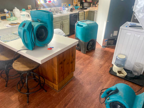  Navassa, NC Water damage restoration Pros