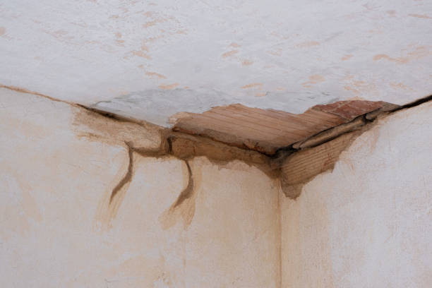Best Commercial water damage restoration  in Navassa, NC