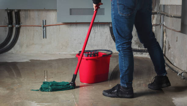 Best Ceiling water damage repair  in Navassa, NC