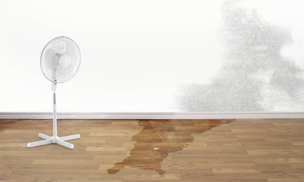 Best 24-hour water damage restoration  in Navassa, NC