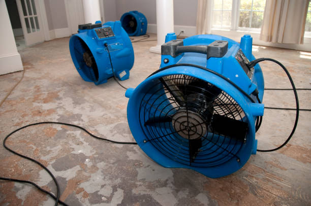 Best Emergency water damage restoration  in Navassa, NC