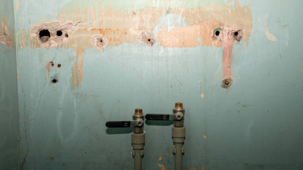 Best Basement water damage restoration  in Navassa, NC