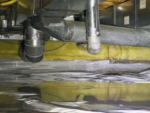 Best Water damage cleanup near me  in Navassa, NC