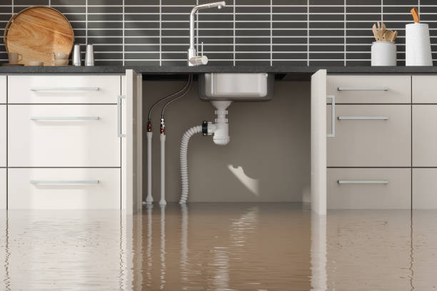Best Flooded house restoration  in Navassa, NC
