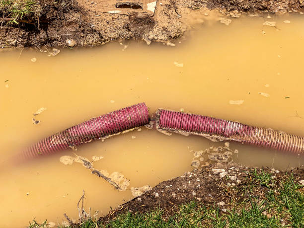 Best Local water damage restoration  in Navassa, NC